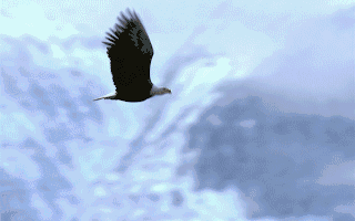 增持、回购!超30家上市公司密集公告